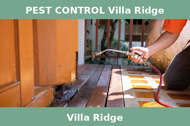 PEST CONTROL Villa Ridge